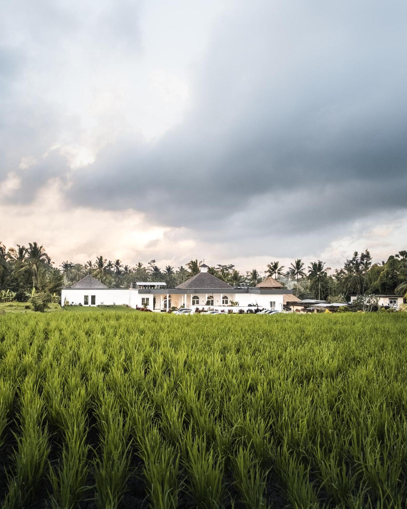Cascades Suites Ubud Esterno foto